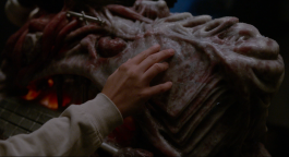 ARNAUD ALBEROLA ✹ CINEMATOGRAPHY