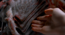 ARNAUD ALBEROLA ✹ CINEMATOGRAPHY