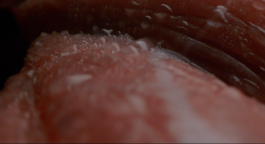 ARNAUD ALBEROLA ✹ CINEMATOGRAPHY