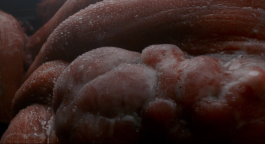 ARNAUD ALBEROLA ✹ CINEMATOGRAPHY