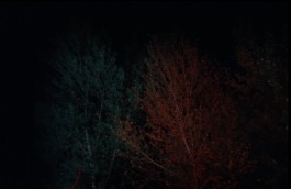 ARNAUD ALBEROLA ✹ CINEMATOGRAPHY