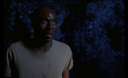 ARNAUD ALBEROLA ✹ CINEMATOGRAPHY