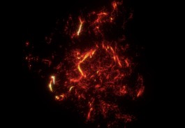 ARNAUD ALBEROLA ✹ CINEMATOGRAPHY