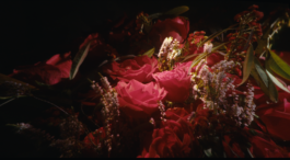 ARNAUD ALBEROLA ✹ CINEMATOGRAPHY