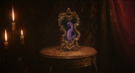 ARNAUD ALBEROLA ✹ CINEMATOGRAPHY