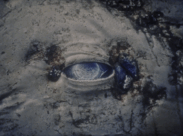 ARNAUD ALBEROLA ✹ CINEMATOGRAPHY