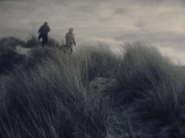 ARNAUD ALBEROLA ✹ CINEMATOGRAPHY